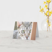 Karte - Hinweis - Forlorn Kitten (Gelbe Blume)