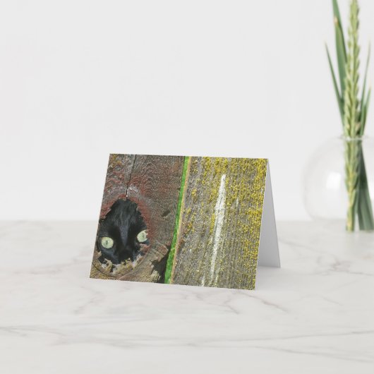 Karte - Hinweis - Schwarze Katzenzucht (Vorderseite)