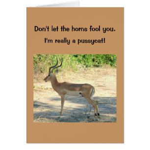 Karte, Humorvoll, "Lass dir nicht den Hörnern-Narr