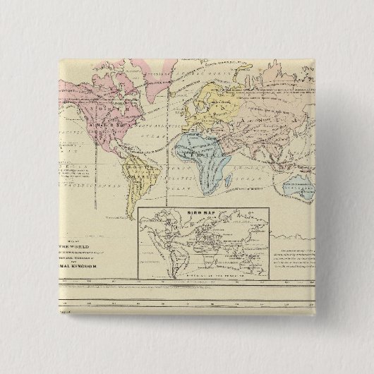 Karte in Farbe der Welt Button (Vorderseite)