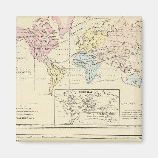 Karte in Farbe der Welt Magnet (Vorne)