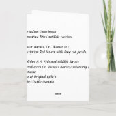 Karte / Indischer Pinsel / Weihnachten (Rückseite)