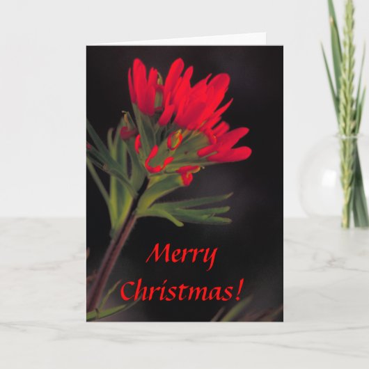 Karte / Indischer Pinsel / Weihnachten (Vorderseite)