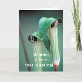 Karte/Jack-in-the-pulpit Feiertagskarte