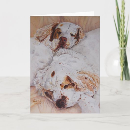 Karte - Komfort - zwei Clumber Spaniels (Vorderseite)