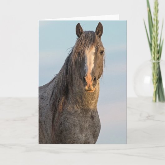 Karte "Kraft der Natur" (Vorderseite)