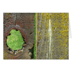 Karte - leer - Knothole im Zaun