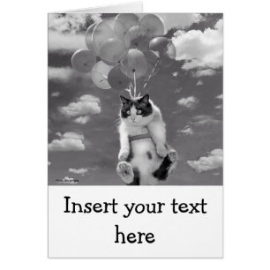 Karte: Lustiges Katzenfliegen mit Ballonen