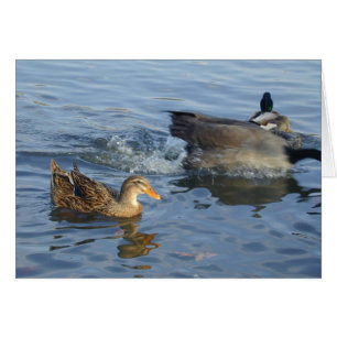 Karte mit ausgestopfter Ente
