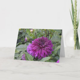Karte mit einer lila Dahlie im Garten