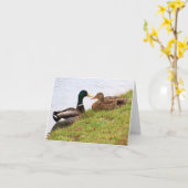 Karte mit Enten (leer) (Gelbe Blume)