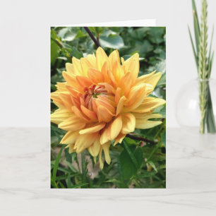 Karte mit gelber Dahlie