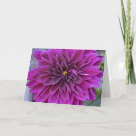 Karte mit lila Dahlie