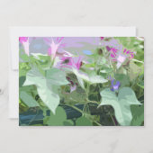 Karte mit Morgenglanz (Vorderseite)