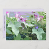 Karte mit Morgenglanz (Vorne/Hinten)