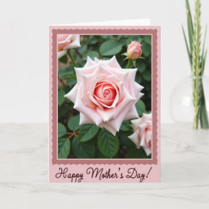 Karte mit Muschel-Rosen-Randgestaltung