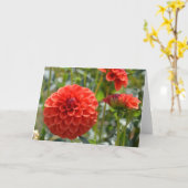 Karte mit orangefarbener Dahlie (Gelbe Blume)
