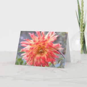 Karte mit orangefarbener Dahlie