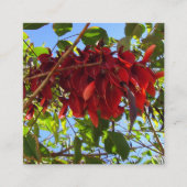 Karte mit roten Blätter (Vorderseite)