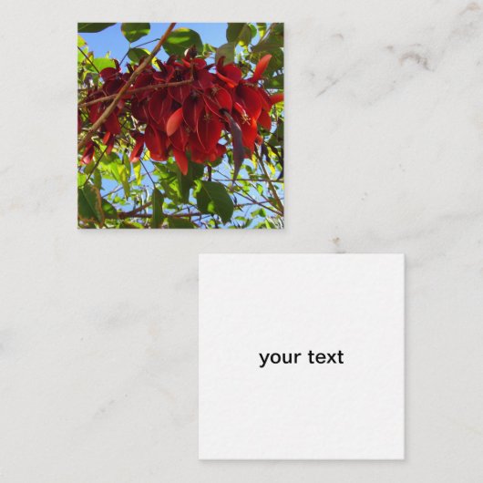 Karte mit roten Blätter (Vorne/Hinten)