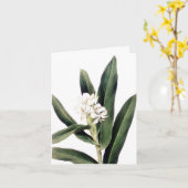 Karte mit weißer Blume (Gelbe Blume)