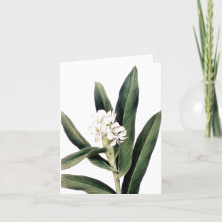 Karte mit weißer Blume