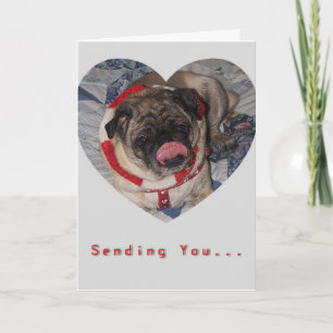 Karte Möpseund Küssevalentines Tages