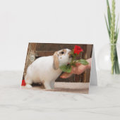 Karte nie verloren (Vorderseite)