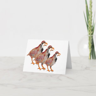 Karte: Partridge