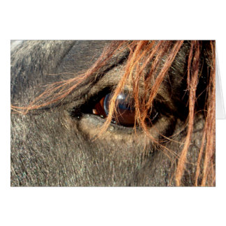 Karte - Pferd