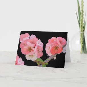 Karte, Pflaumenblüten Karte
