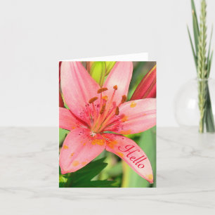 Karte, PINK DALILY MIT TOUCHS VON GOLD/"HELLO" Karte