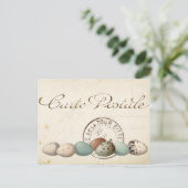 Karte Postale Bird Set 1 von 4 (Postmarkeneier) (Stehend Vorderseite)