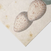 Karte Postale Bird Set 1 von 4 (Postmarkeneier) Seidenpapier (Detail)