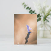 Karte postale Papillen Argus bleu (Stehend Vorderseite)