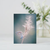 Karte postale Papillen Argus bleu (Stehend Vorderseite)