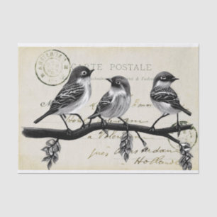 Karte Postale Vögel auf einer Zweigstelle (französ Seidenpapier