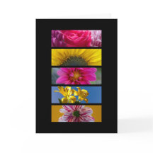 Karte - Rosa und gelbe Macro-Blume