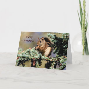 Karte / Rotes Eichhörnchen / Weihnachten