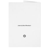 Karte - Schwarz-mit Augen Susans (Hinten)