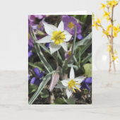 Karte Speziestulpe Mutter Tages (Gelbe Blume)