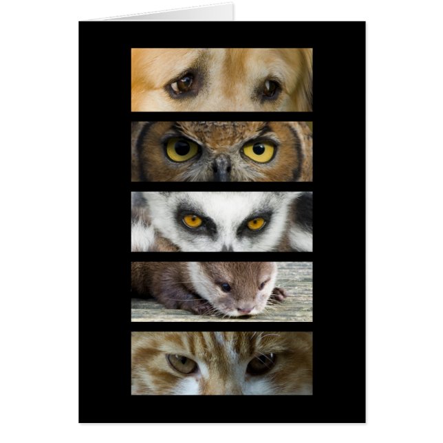 Karte - Tier-Augen (Vorne)