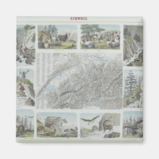 Karte und Vignetten der Schweizer Alpen Magnet (Vorne)