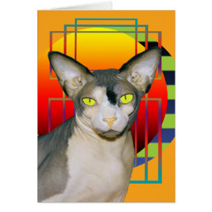 Karte Vamp Sphynx Katze (Orange)