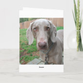 Karte verpassen (Rückseite)