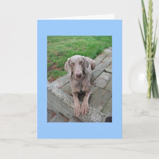 Karte verpassen (Vorderseite)