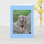 Karte verpassen (Gelbe Blume)