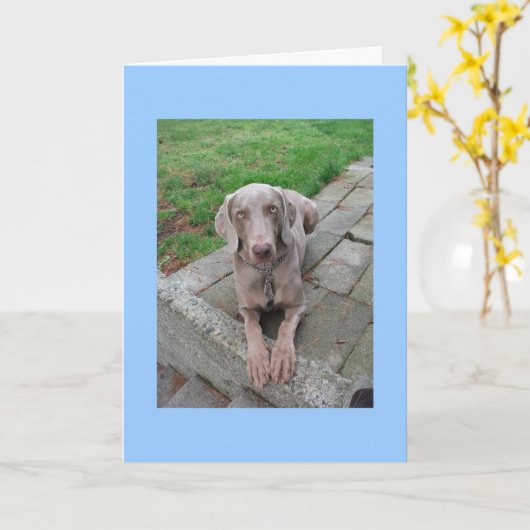 Karte verpassen (Gelbe Blume)