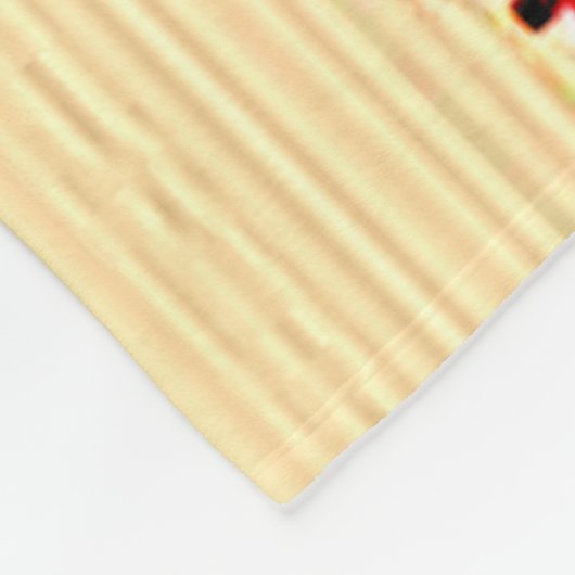 KARTE VIETNAM DURCH DIVISIONEN FLEECEDECKE (Ecke)