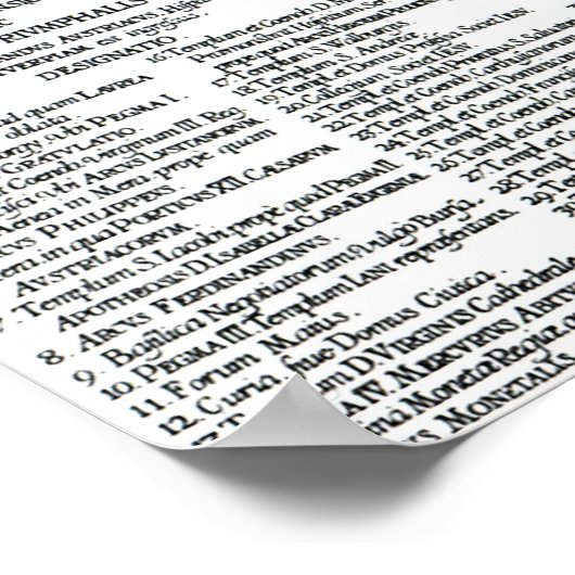 Karte von Antwerpen Poster (Ecke)